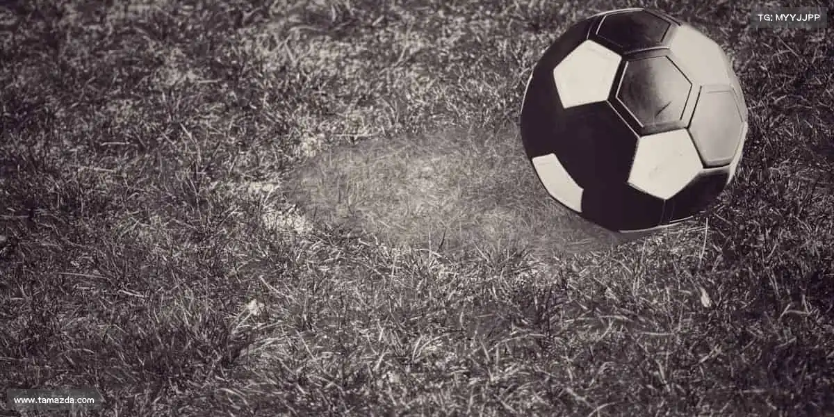 我们的品牌价值